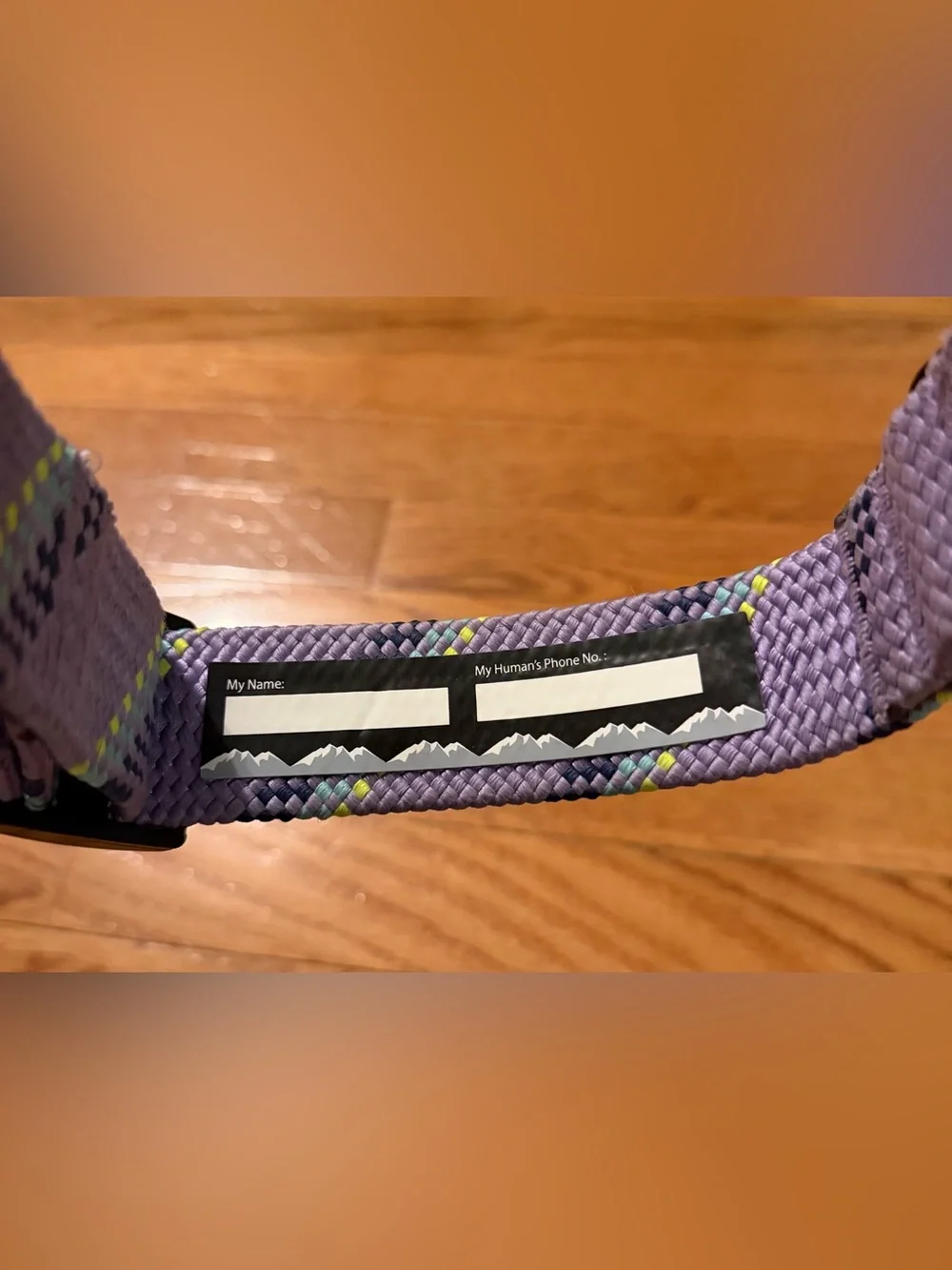 Purple Arcadia Trail Dog Collar - X Large (New)